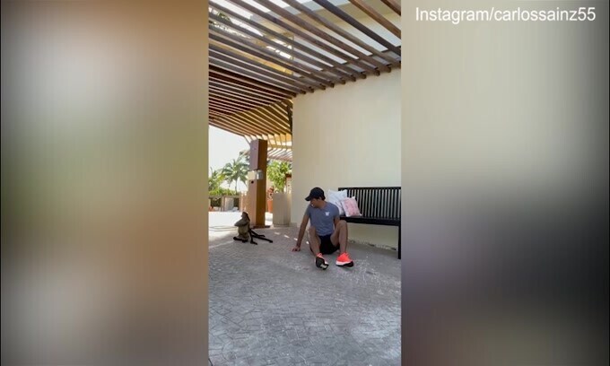 Sainz si diverte in mezzo alle scimmie