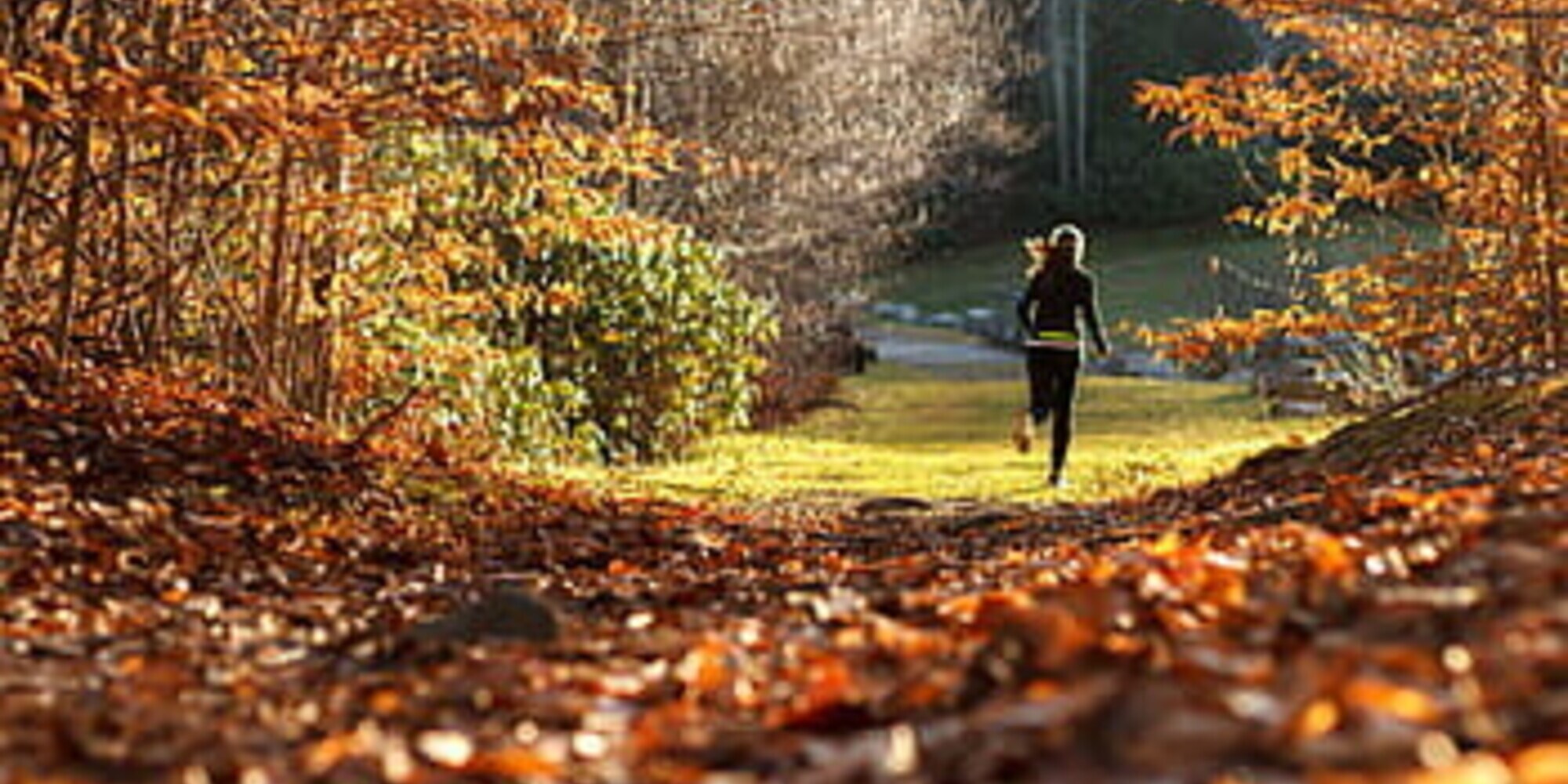 Cosa indossare per correre in autunno