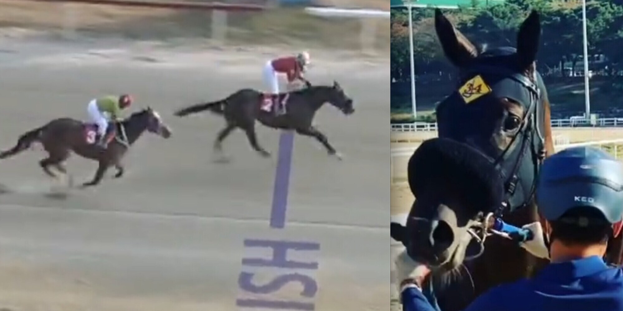 Riccardi firma le Oaks in Corea