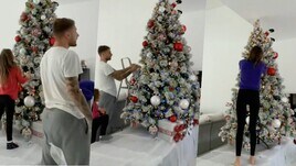 Casa Immobile, arriva il Natale: tutti a fare l’albero