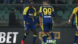 Torino, Verona, Napoli e Atalanta: le ultimissime