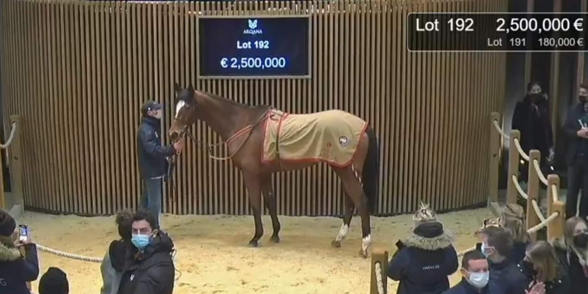 Grand Glory per 2,5 milioni