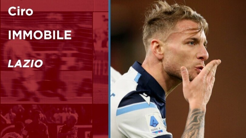 Show Immobile