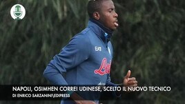 Napoli, Osimhen corre! Udinese, scelto il nuovo tecnico