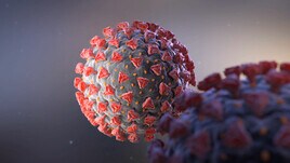 Impennata casi Covid in GB, Premier League a rischio stop