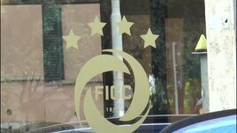 Caso plusvalenze, il Tribunale della Figc proscioglie tutti