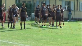 Bologna, esonerato Mihajlovic