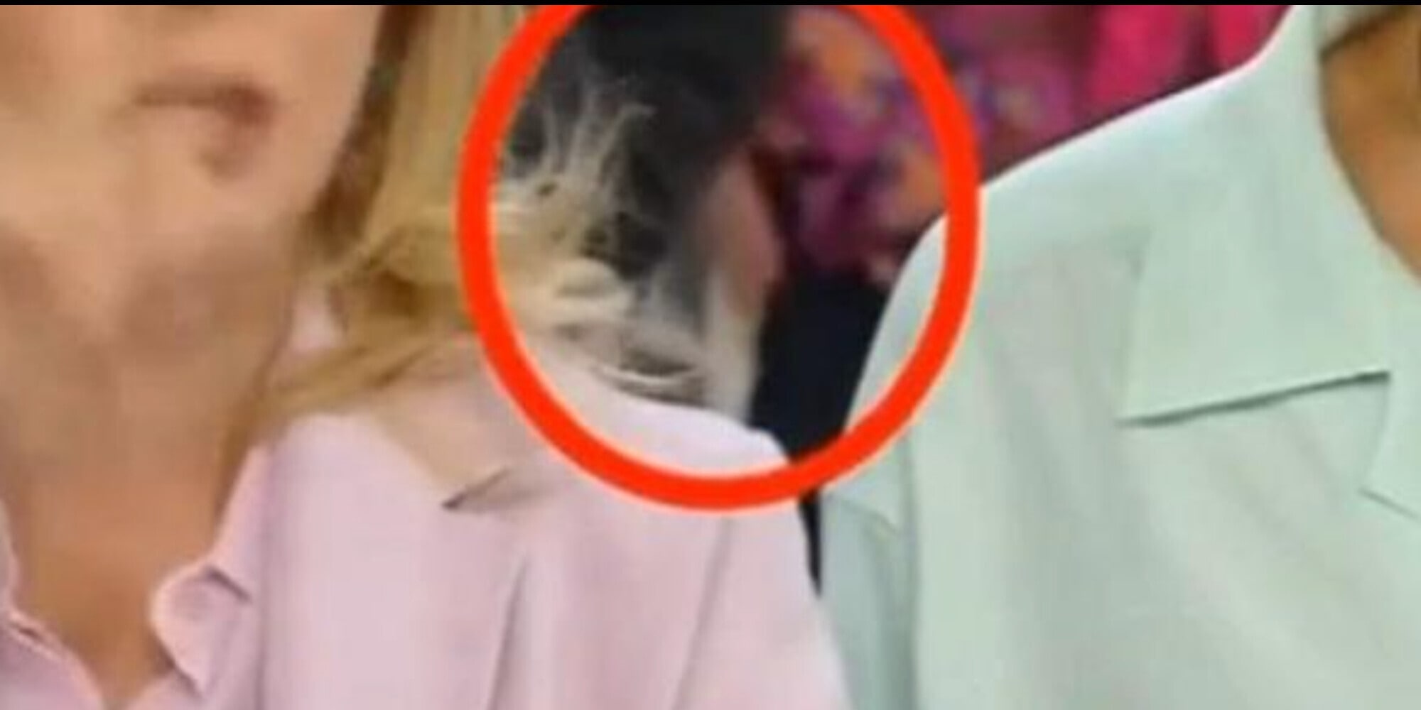 Memo Remigi, la curiosa giustificazione dopo la palpata in diretta tv a Jessica Morlacchi: "Alla mia età..."