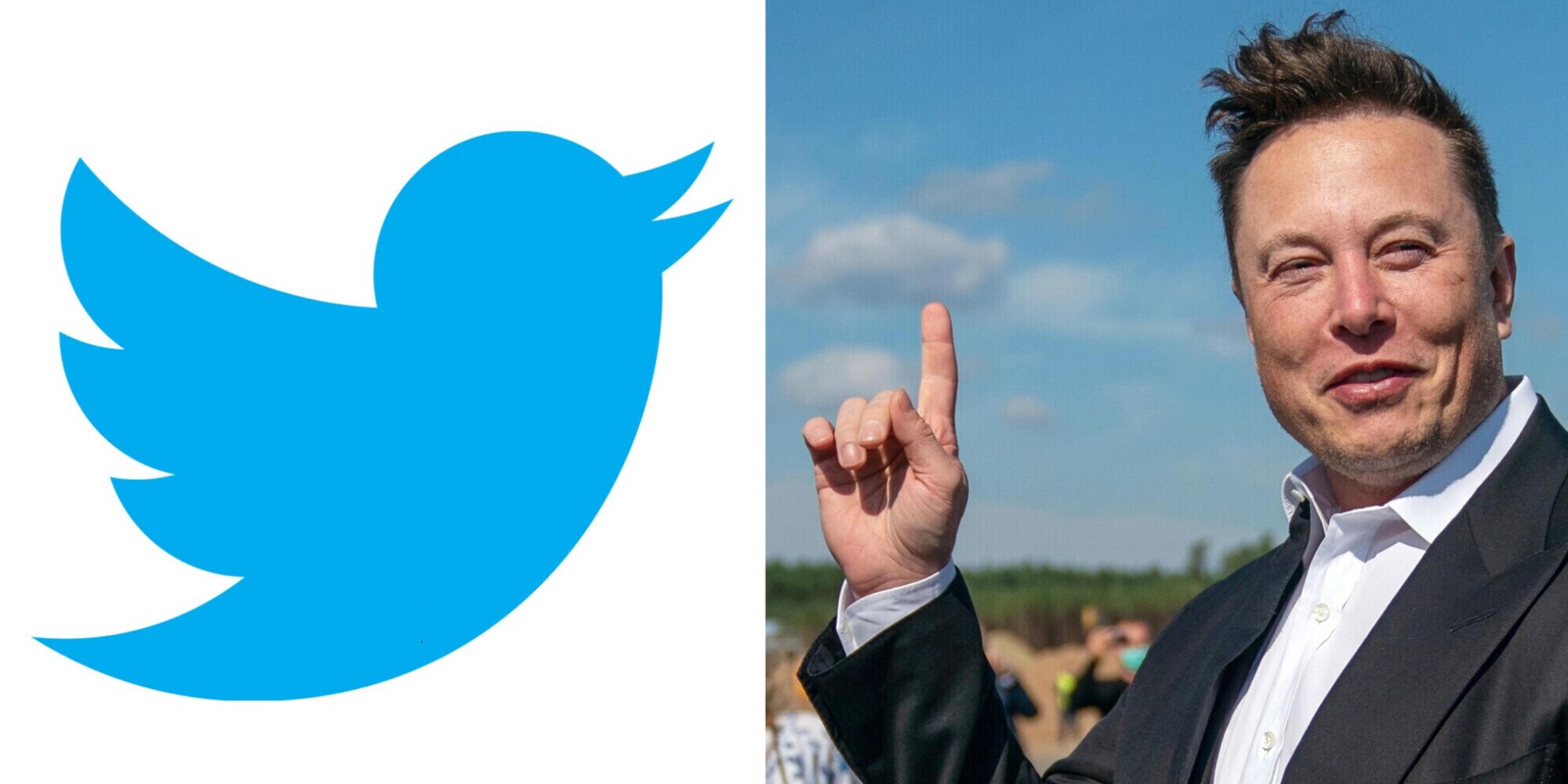 Twitter e la spunta blu a pagamento: Elon Musk provoca ancora