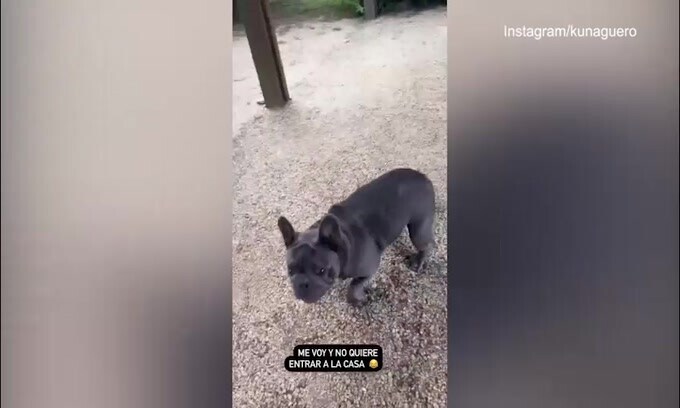 Aguero parte per il Qatar, il suo cagnolino non ci sta!