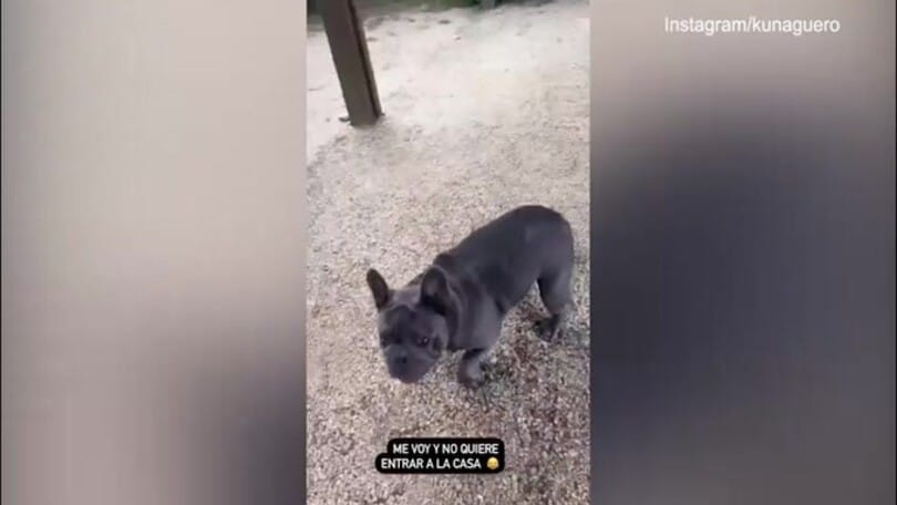 Aguero parte per il Qatar, il suo cagnolino non ci sta!