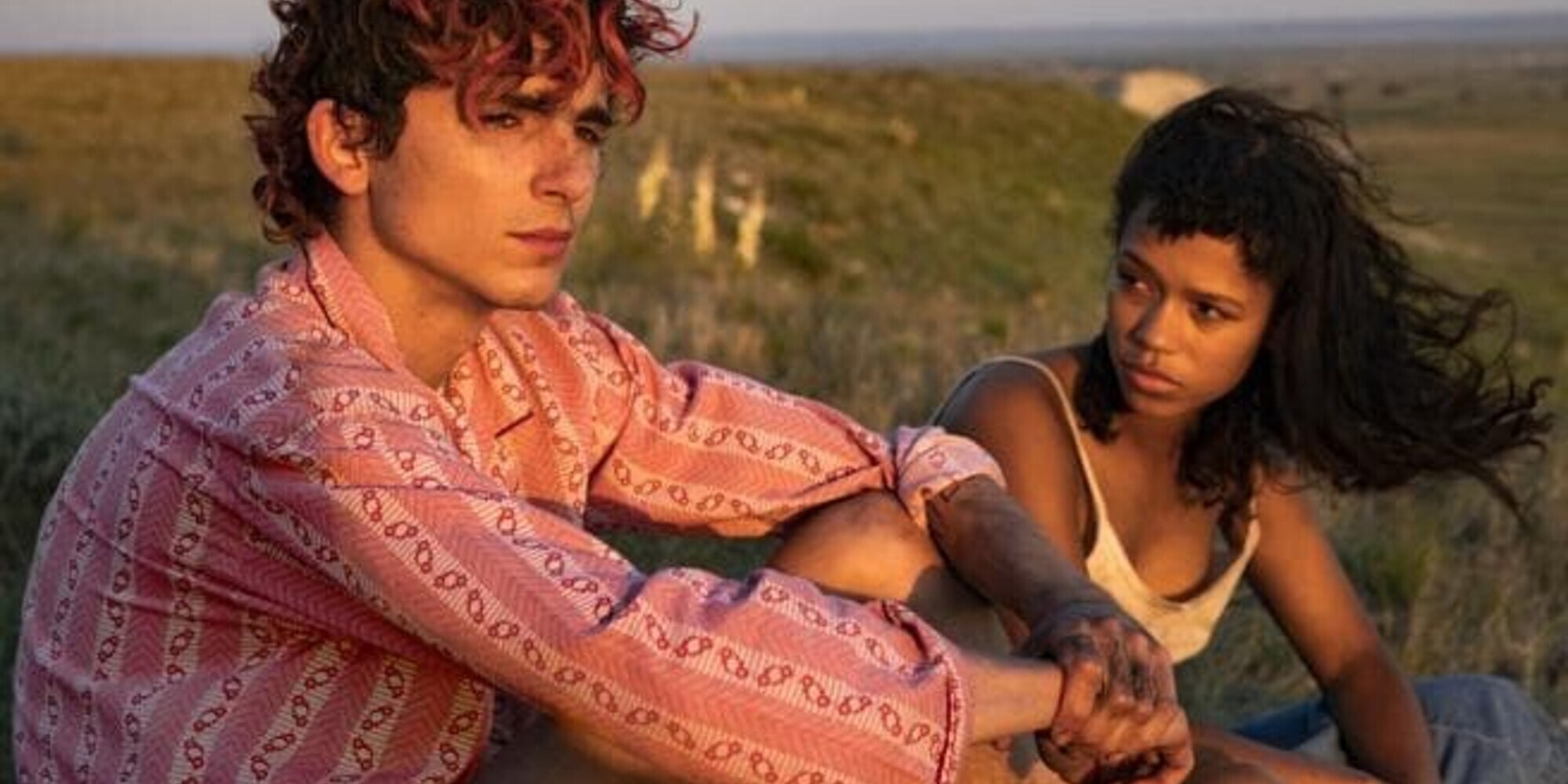 Bones and All al cinema da domani il 23 novembre