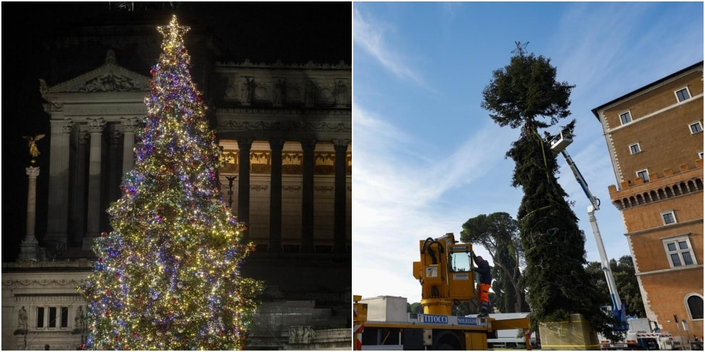 Roma, addio a Spelacchio: ecco l'albero di Natale "a impatto zero"