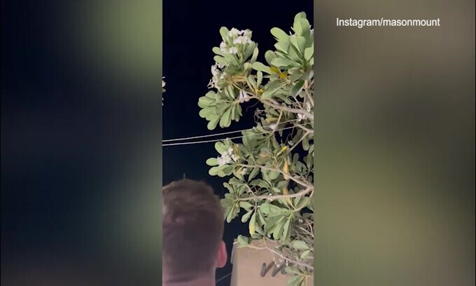 Inghilterra, svelato il "portafortuna": Shaw sporcato da un uccello