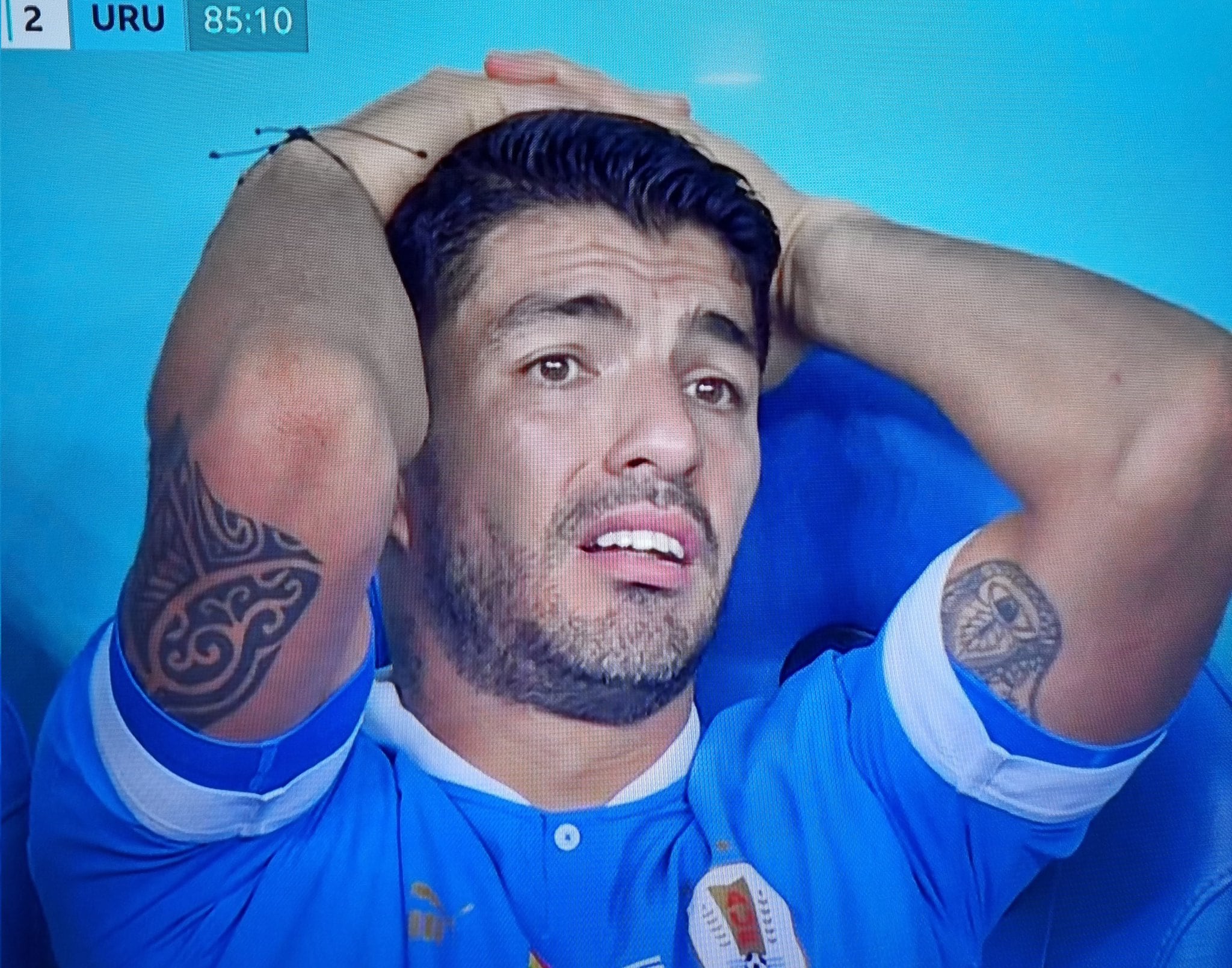 Suarez piange disperato in panchina dopo il gol della Corea del Sud