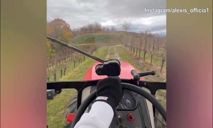 Sanchez sul trattore tra i vigneti del Friuli