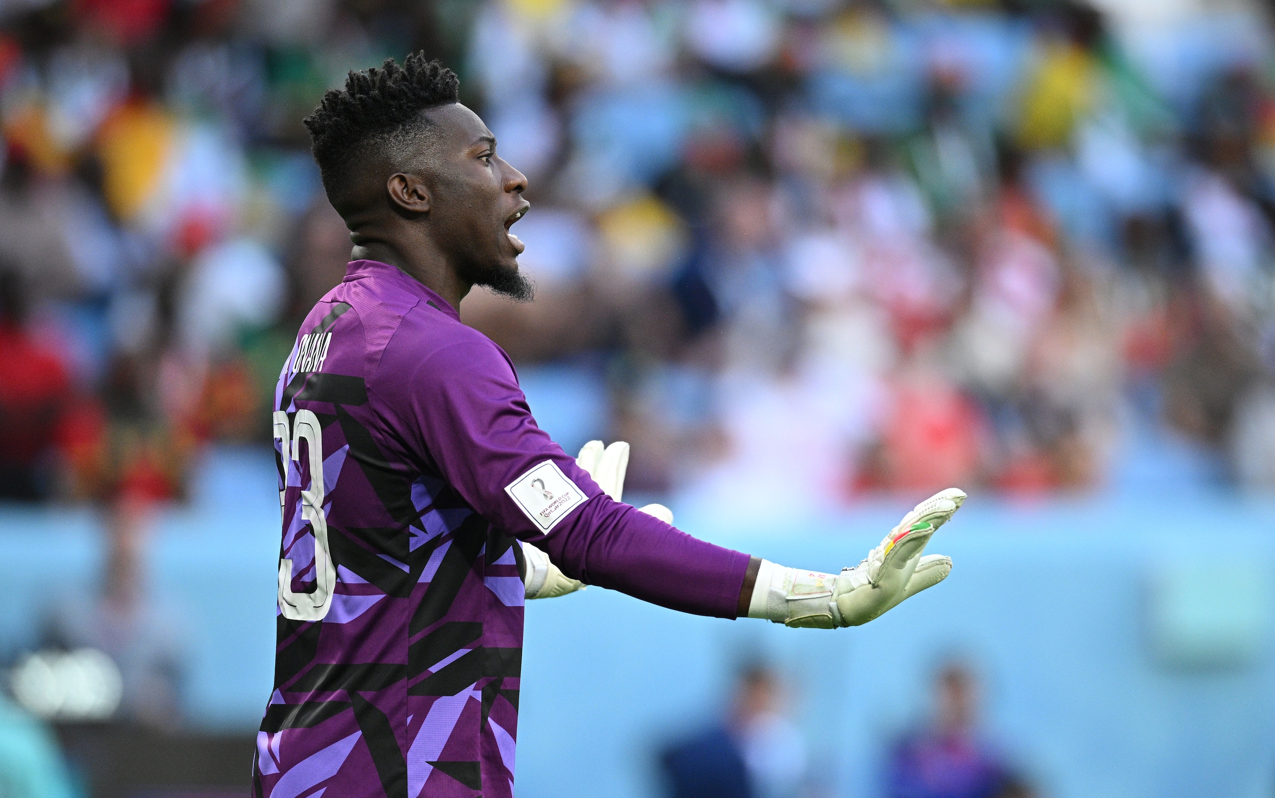 Camerun, Roma e Argentina: le ultimissime
