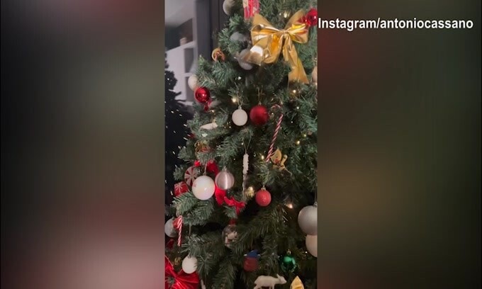 Cassano e Carolina: ecco l'albero di Natale