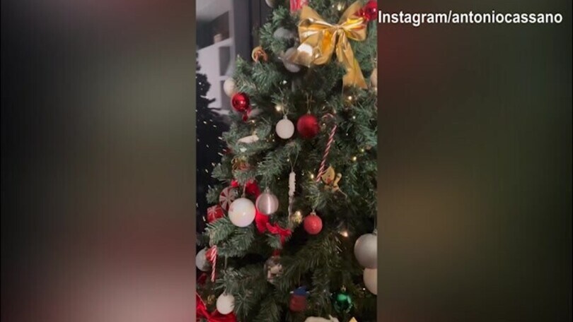 Cassano e Carolina: ecco l'albero di Natale