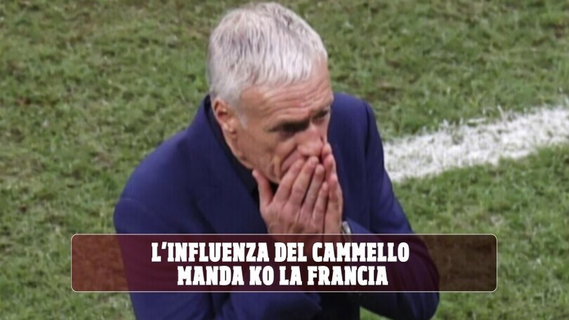 L'influenza del cammello manda KO la Francia