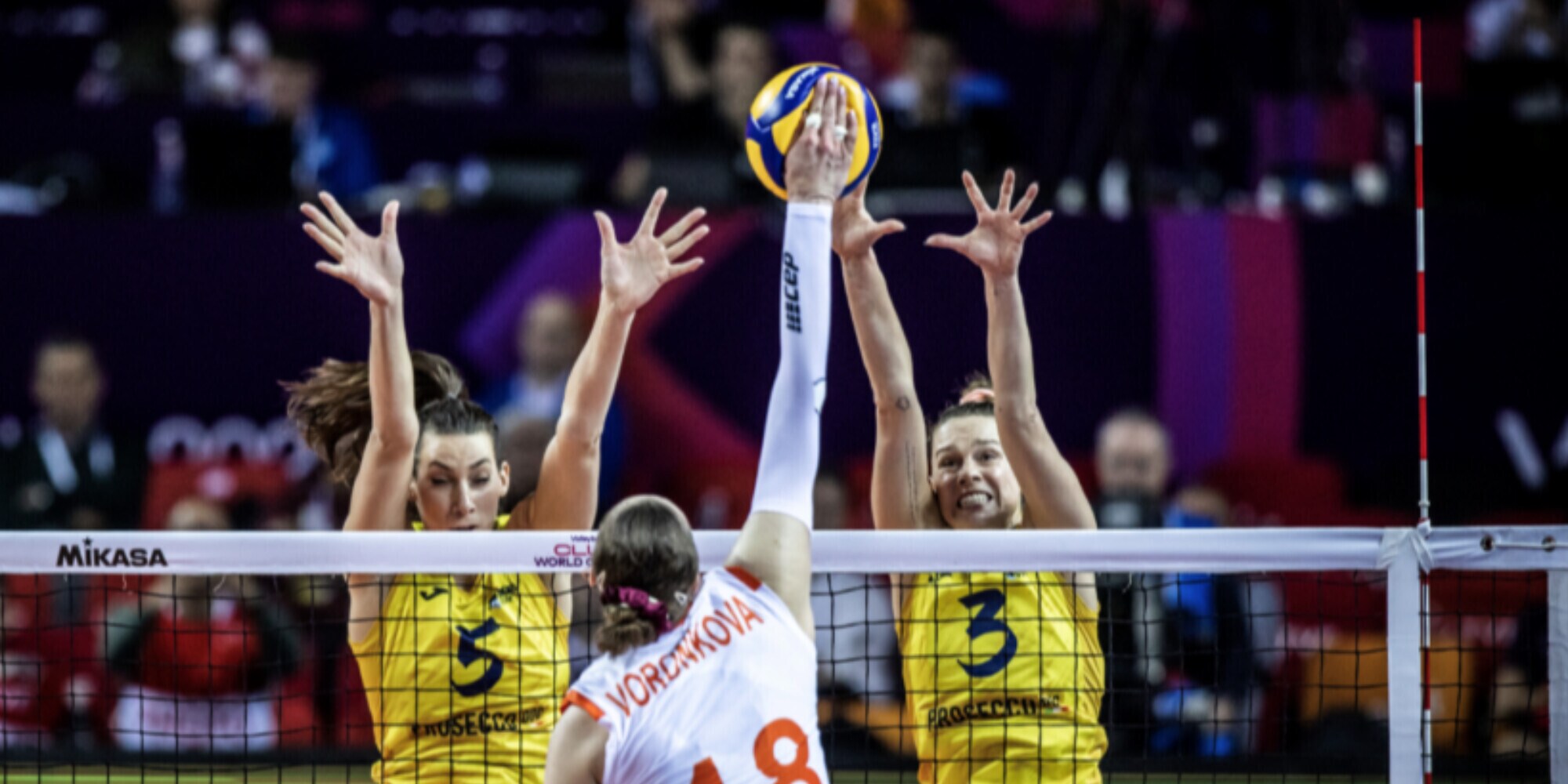 Champions League: Novara, Conegliano e Milano in campo