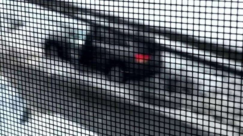 Rimane impantanato nella neve e inizia a imprecare contro la sua Jeep