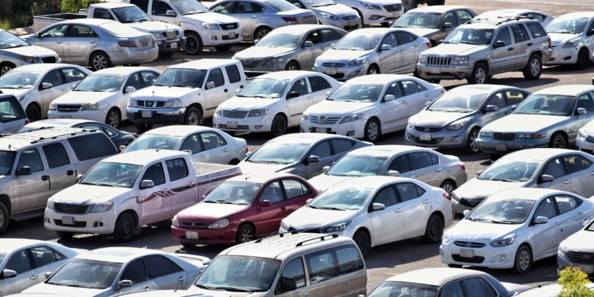 Stop auto endotermiche: Greenpeace dice no alla proroga al 2040