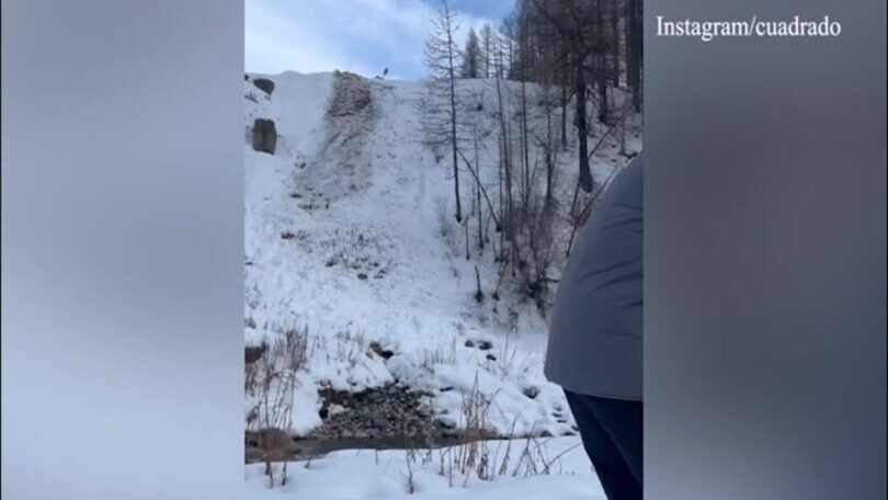 Cuadrado in slitta sulla neve, la rabbia dei tifosi