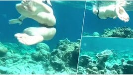 Federica Pellegrini è troppo bella: il suo Matteo si distrae dalle tartarughe