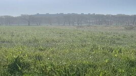 Il cammino di Giuliano: giorno 13