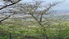 Il cammino di Giuliano: giorno 17