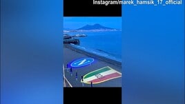 La gioia di Hamsik: "Forza Napoli"
