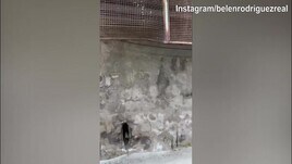 Napoli, Belen Rodriguez al Maradona: che entusiasmo per lei!