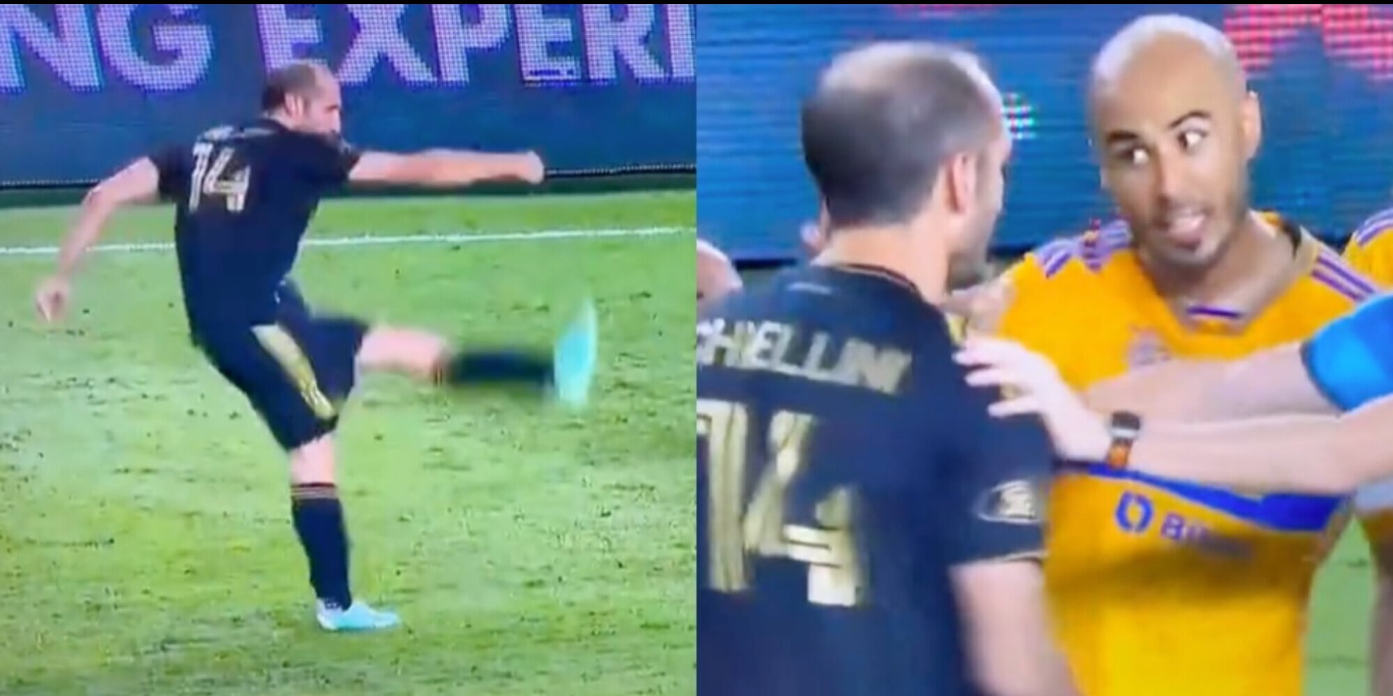 Il brutto gesto di Chiellini scatena la rissa in campo: ecco cosa ha fatto
