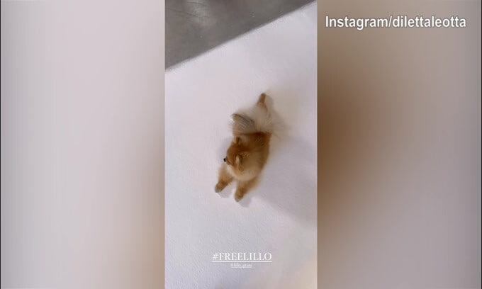 Incredibile, Lillo Leotta...bloccato su Instagram: il messaggio di Diletta