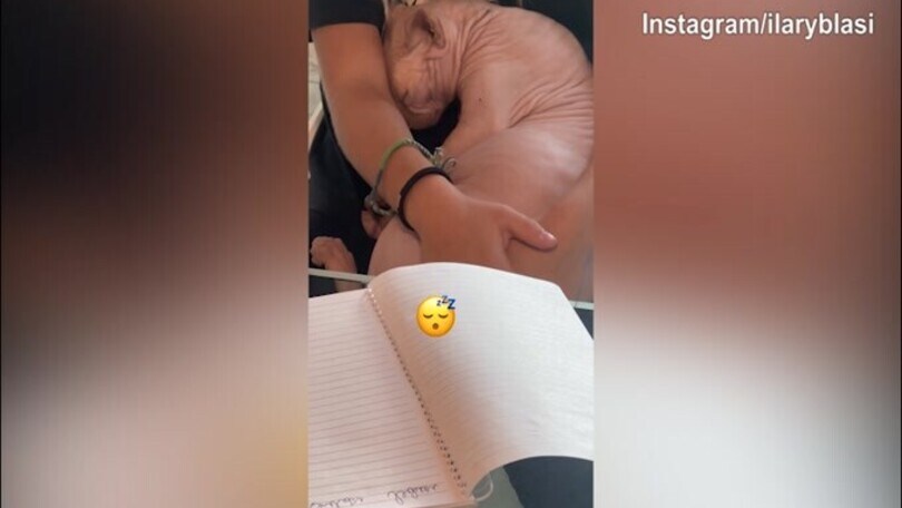 Buonanotte Alfio: il gatto della Blasi dorme sereno