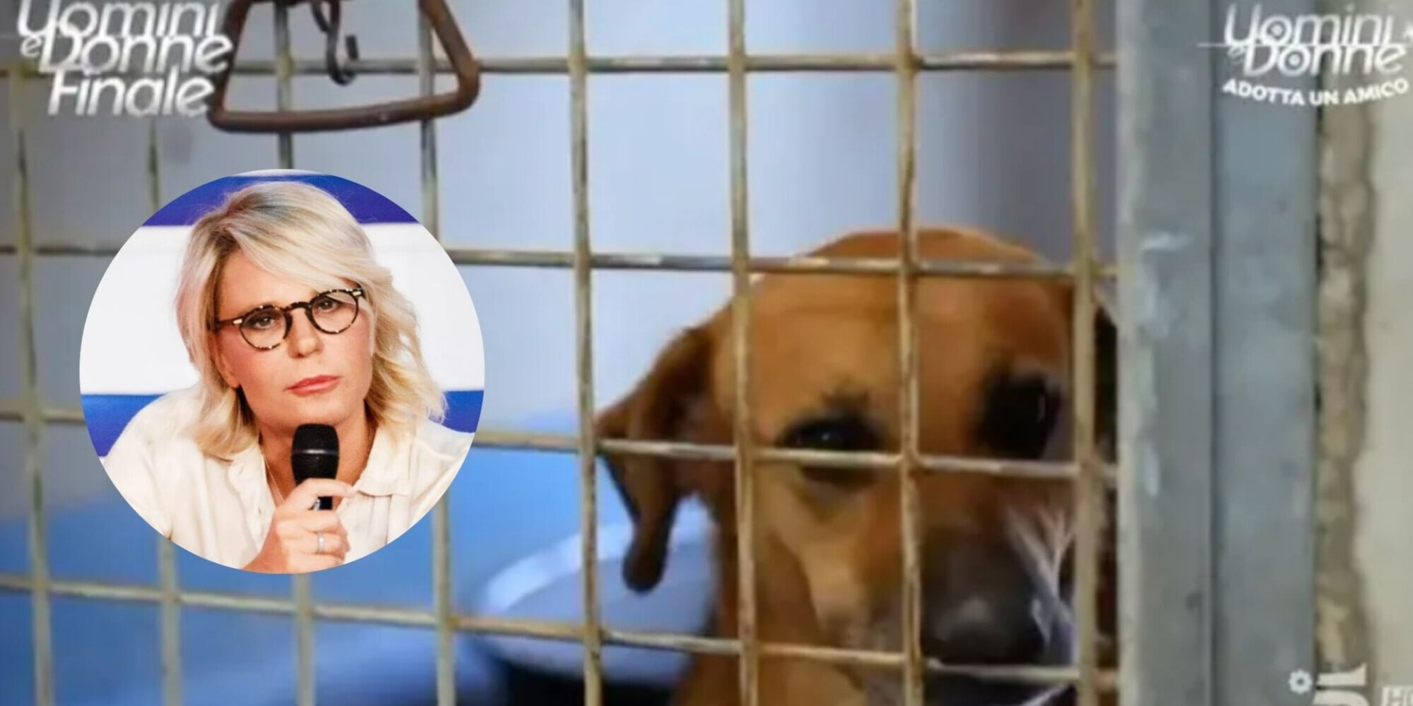 Uomini e Donne cambia: Maria De Filippi apre alle adozioni di cani