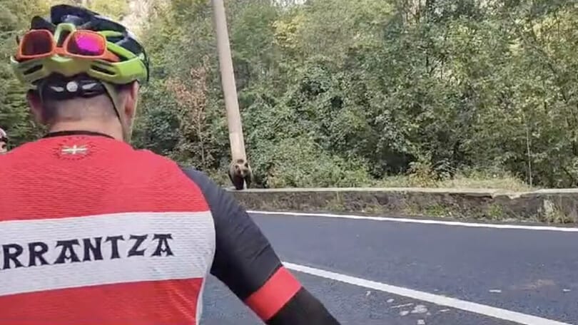 I ciclisti e l'incontro con l'orso