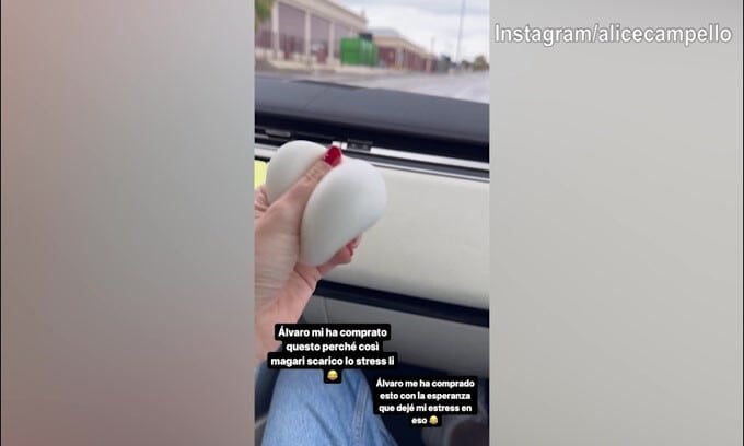 Alvaro regala l'antistress ad Alice: "Magari lo combatto così..."