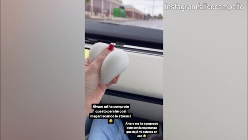 Alvaro regala l'antistress ad Alice: "Magari lo combatto così..."