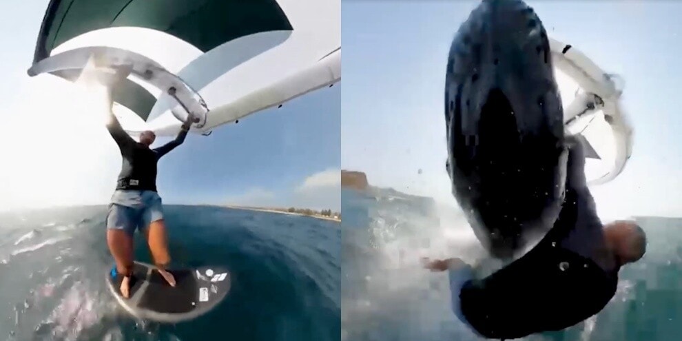 Sydney, megattera travolge un surfista: la GoPro riprende tutto