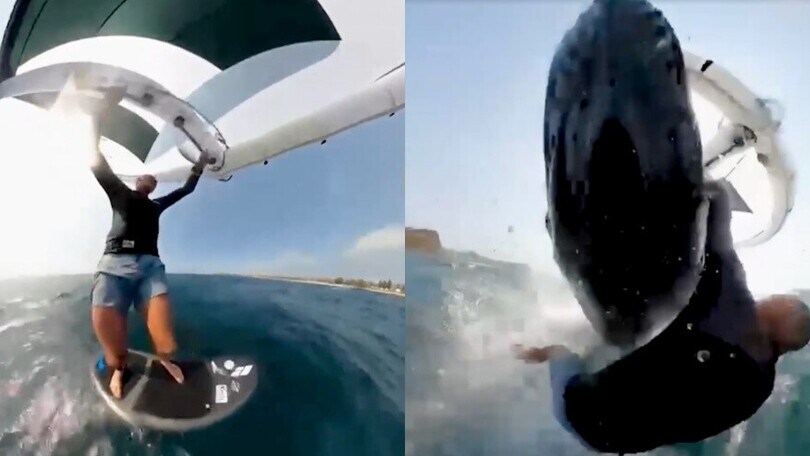 Sydney, megattera travolge un surfista: la GoPro riprende tutto