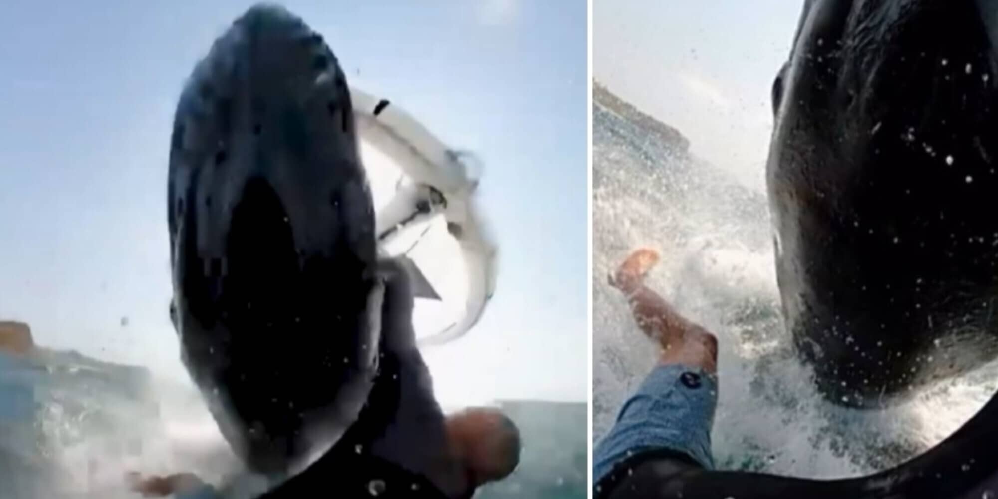 L'incredibile scontro tra una balena e un surfista: il video è terrificante