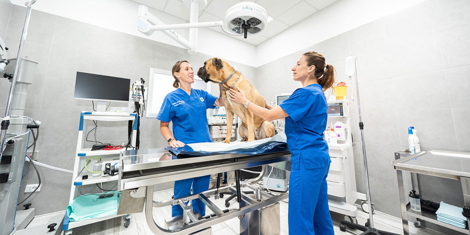 Arcaplanet acquisisce gli ospedali veterinari Happy Friends e Mypetclinic