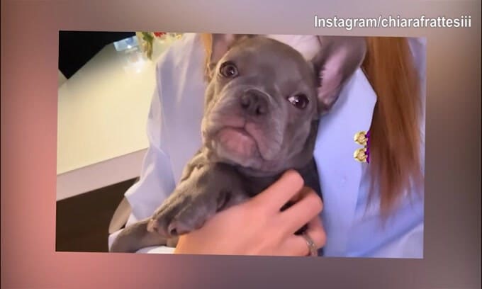Chiara Frattesi, piccoli graffi in faccia: chi sarà stato?