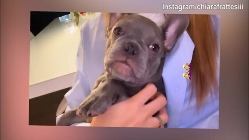 Chiara Frattesi, piccoli graffi in faccia: chi sarà stato?