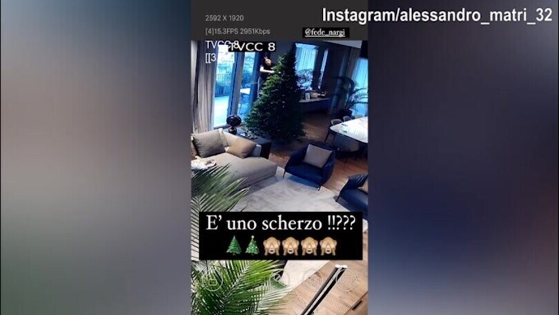 Federica Nargi prepara l'albero, Matri non ci crede...