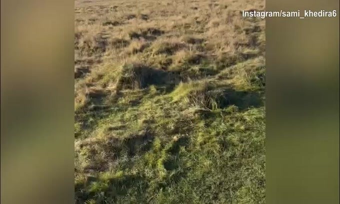 Sami Khedira va di corsa nella natura
