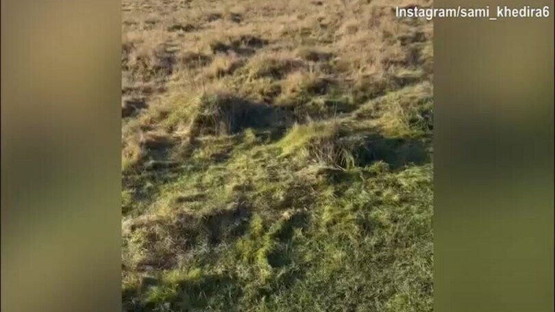Sami Khedira va di corsa nella natura