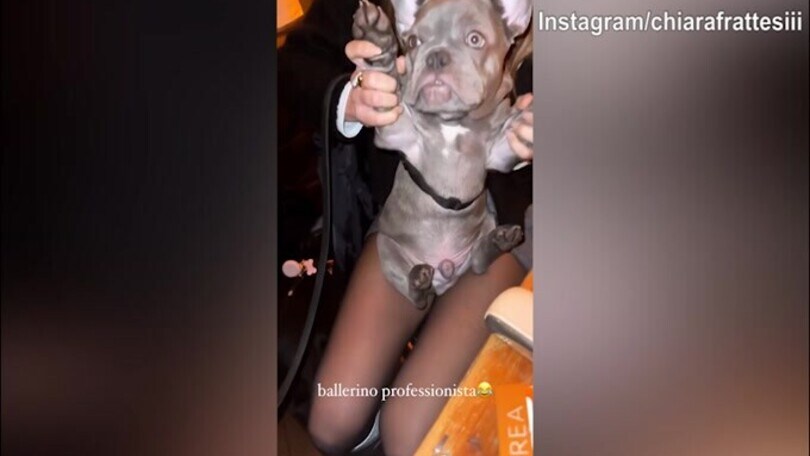 Il cane di Chiara Frattesi diventa un...ballerino